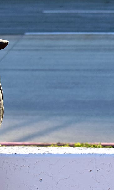New beginning? That's how remaining Chase drivers look at Martinsville
